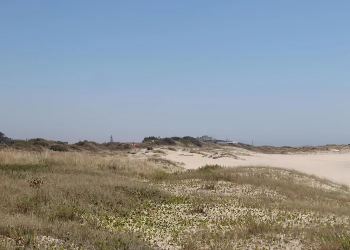 Casa Do Cipreste Viana do Castelo